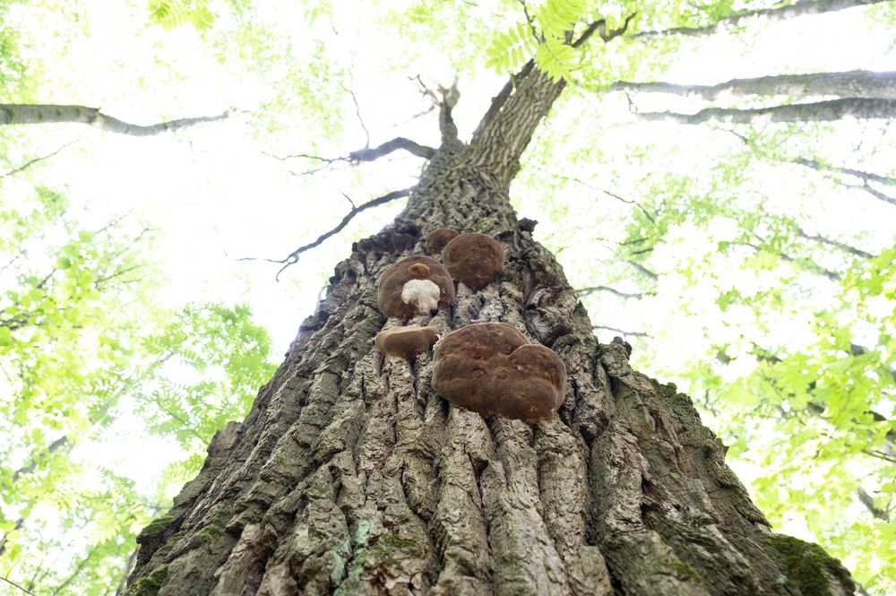 Photograph by Рыков Сергей