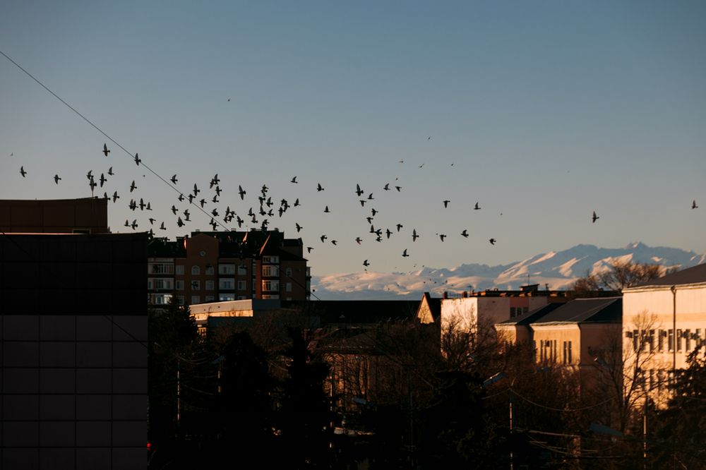 Photograph by Сергей Удовиченко