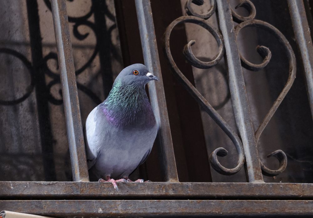 Фотография автора Lija Mežecka