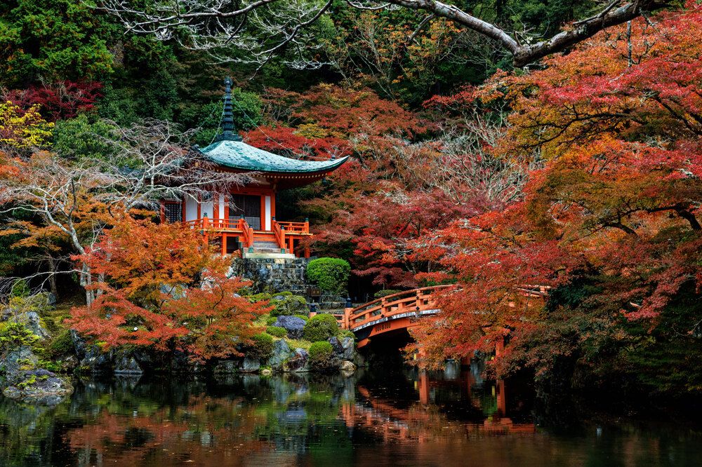 Photograph by Владимир Луценко