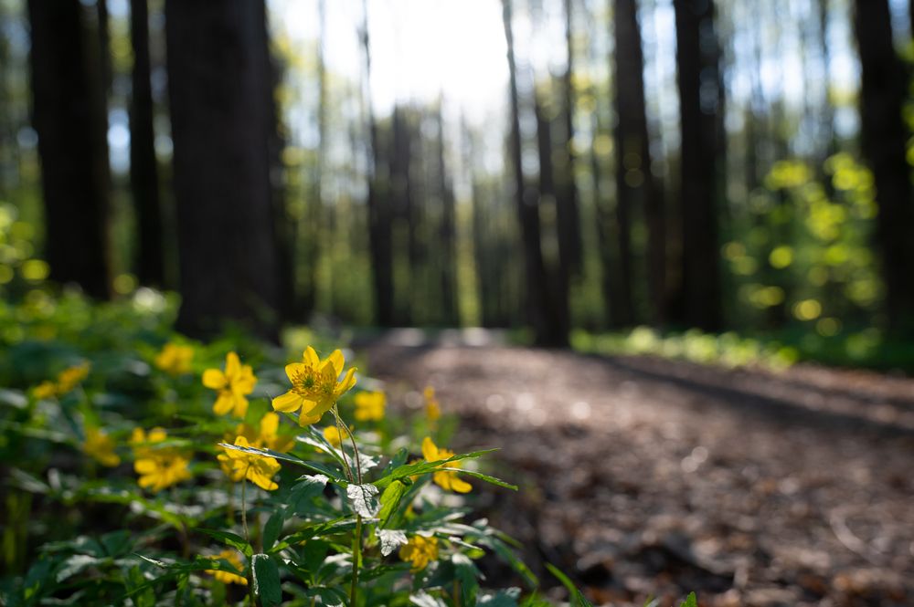 Photograph by Рыков Сергей