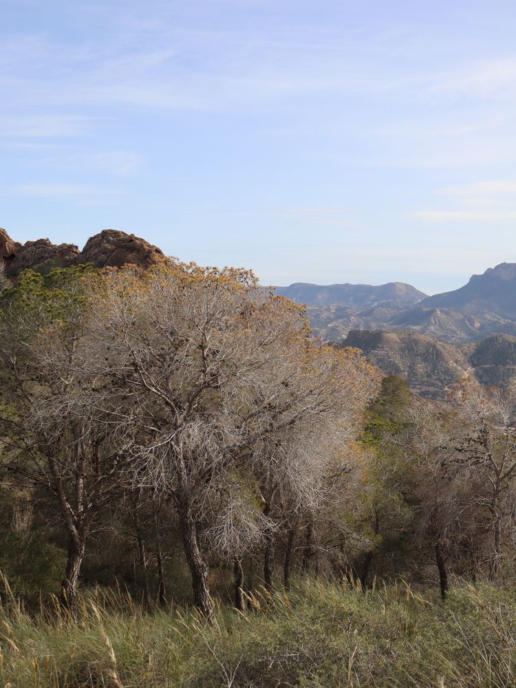 Photograph by Natalya Sedina