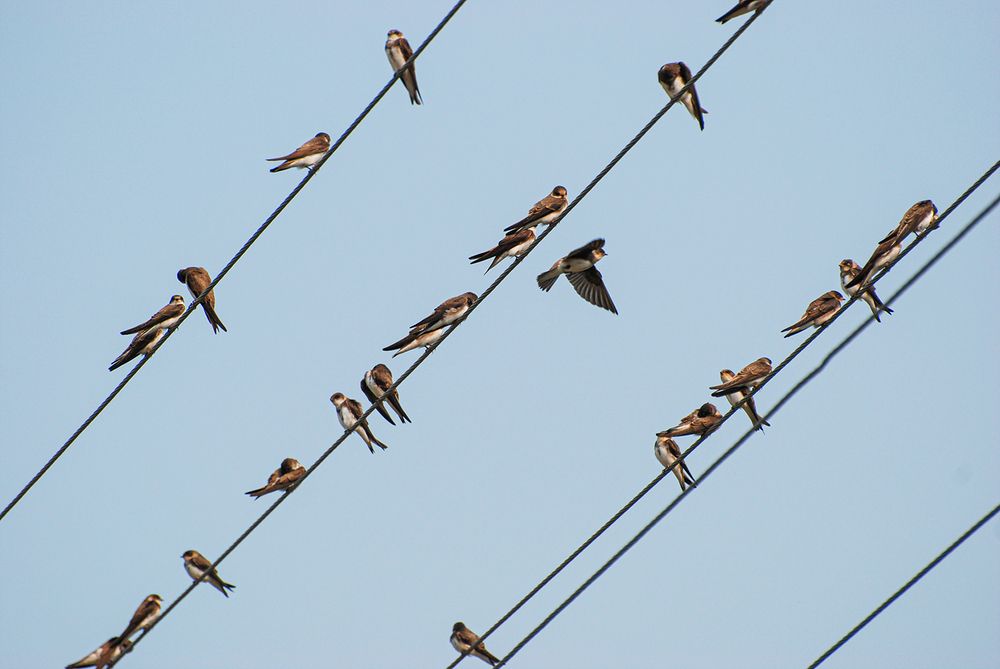 Photograph by Сергей Шварцман