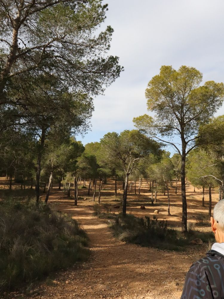 Photograph by Natalya Sedina