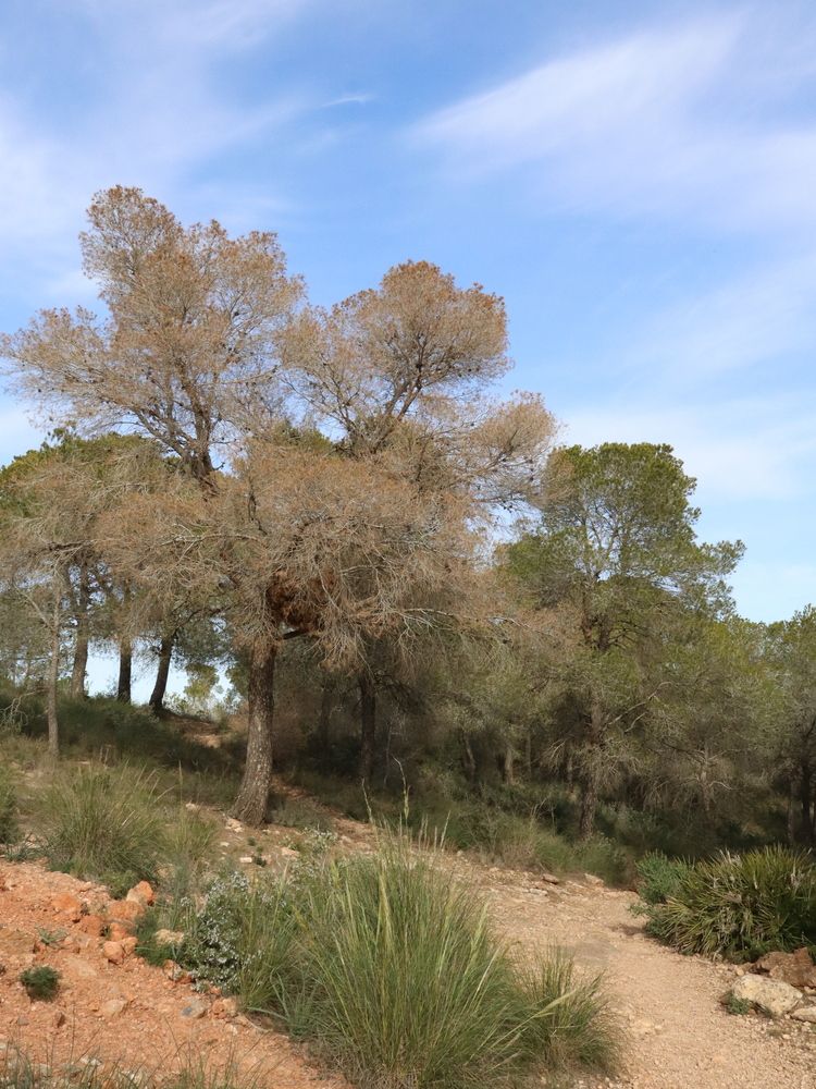 Photograph by Natalya Sedina