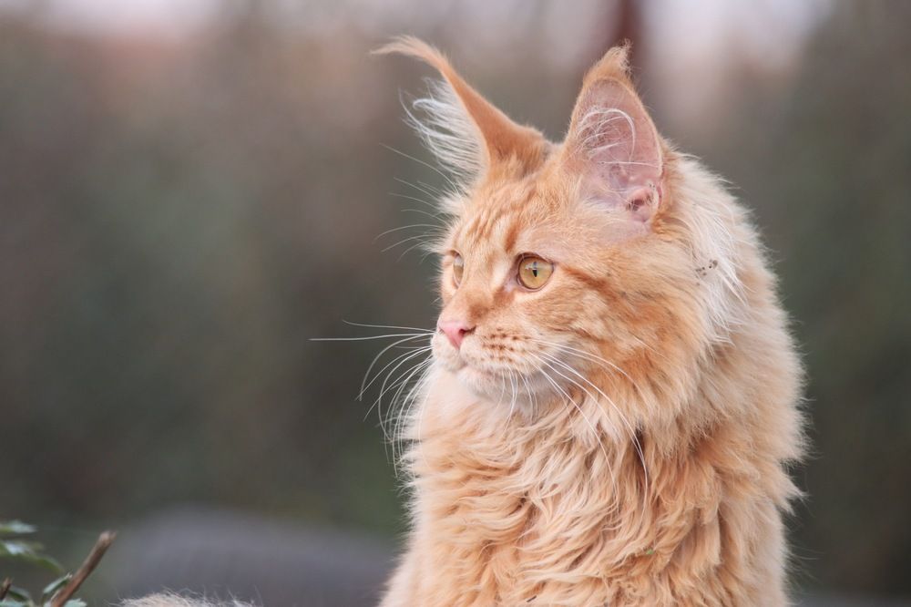 Photograph by Ирина Нурбаева