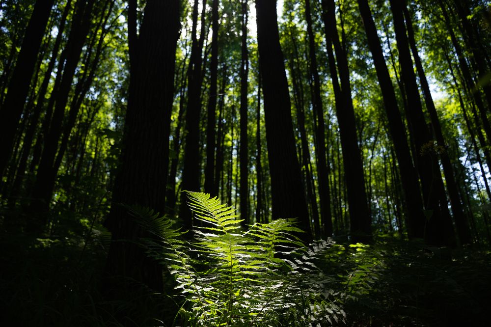 Photograph by Рыков Сергей