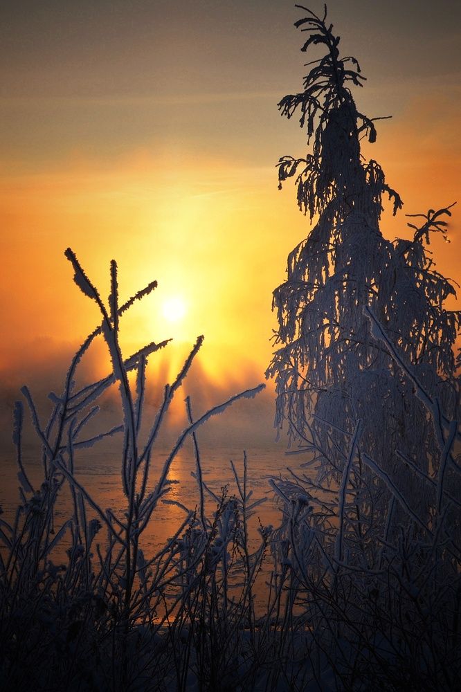 Photograph by Островский Сергей