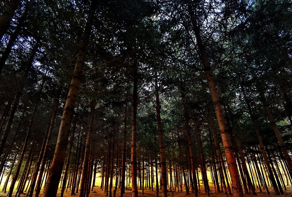 Photograph by Alen Brkić