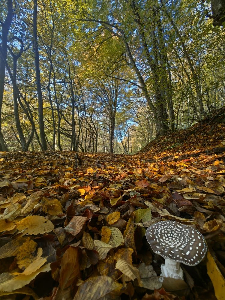 Photograph by Alen Brkić