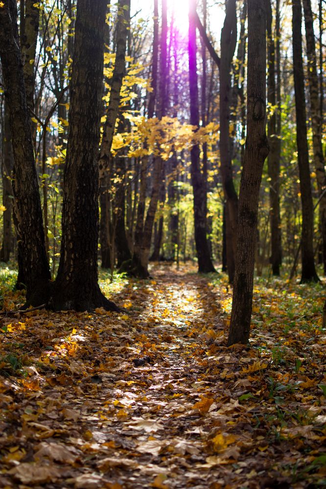 Photograph by Рыков Сергей