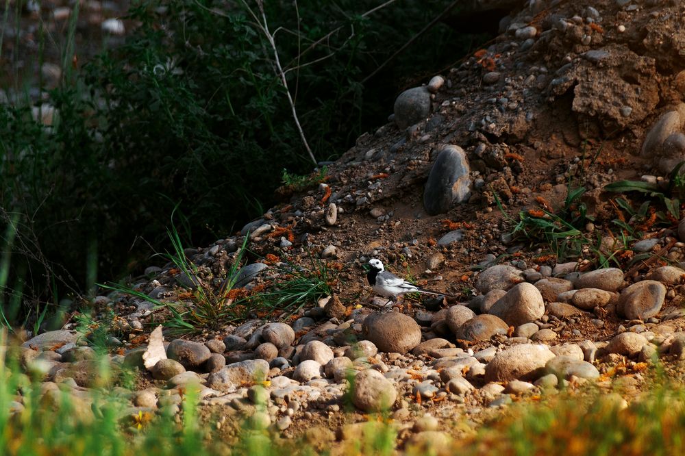 Photograph by Сергей Удовиченко