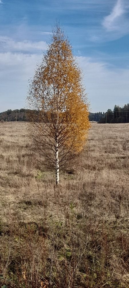 Photograph by Филипп Просто