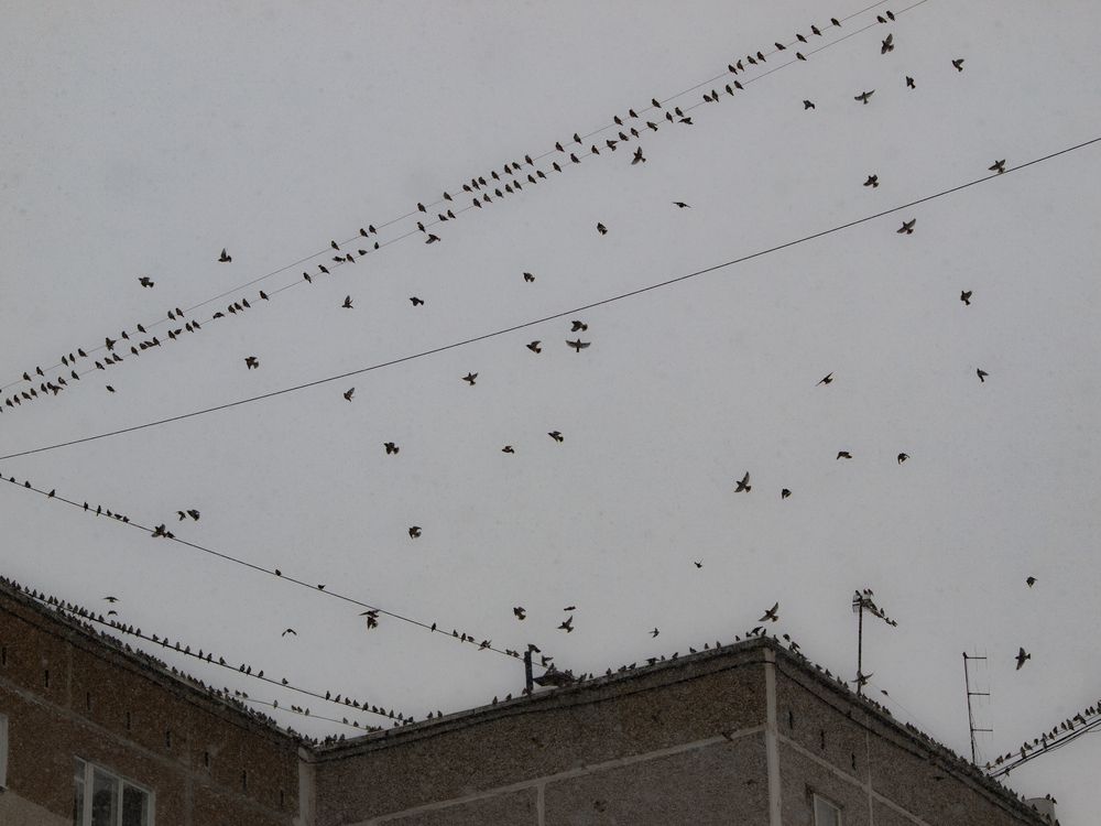 Photograph by Александр