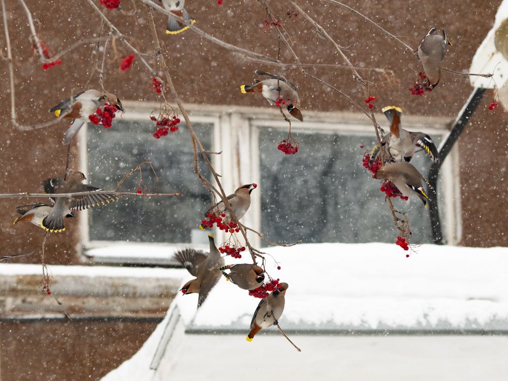 Photograph by Александр