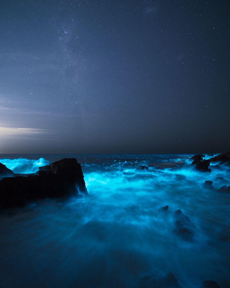 Photograph by Mauricio Salazar