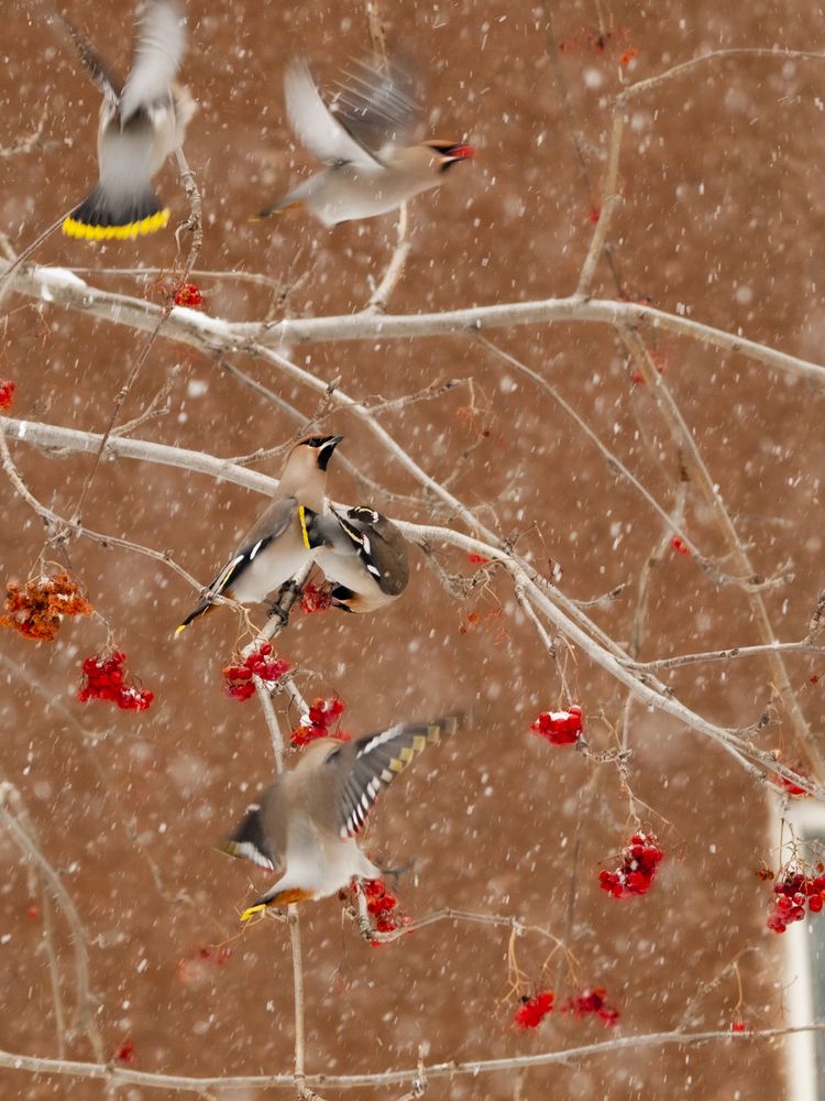 Photograph by Александр