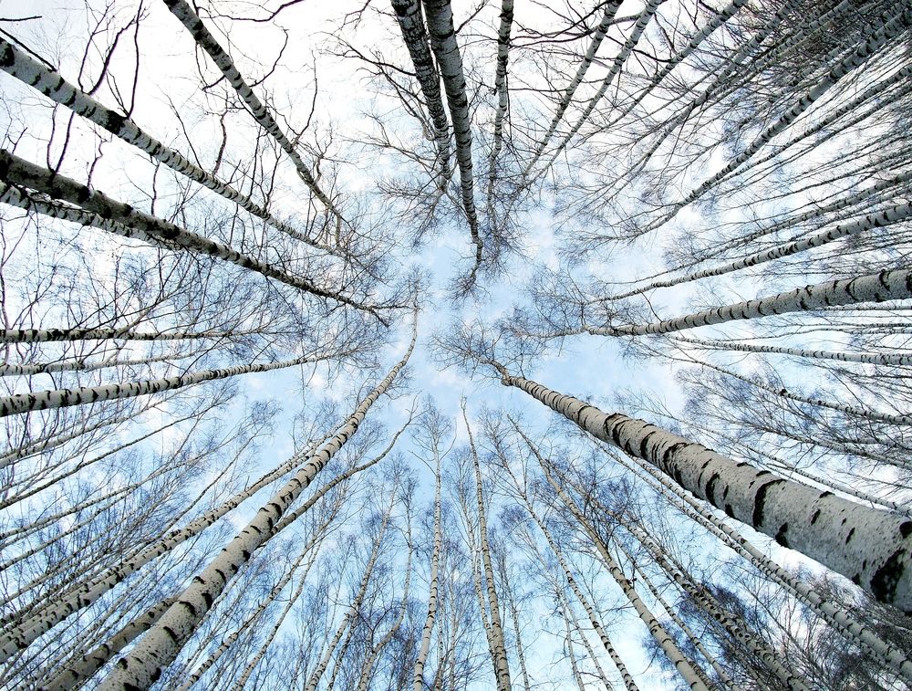 Photograph by Алексей Серпов