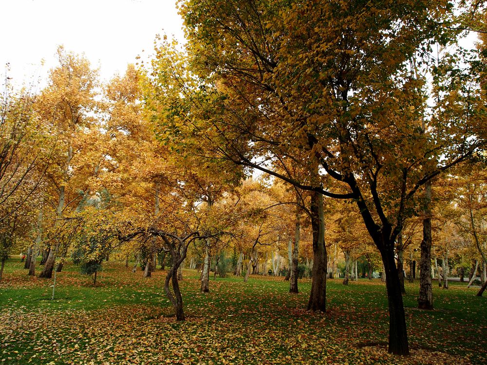 Photograph by Abdolreza Aleagha