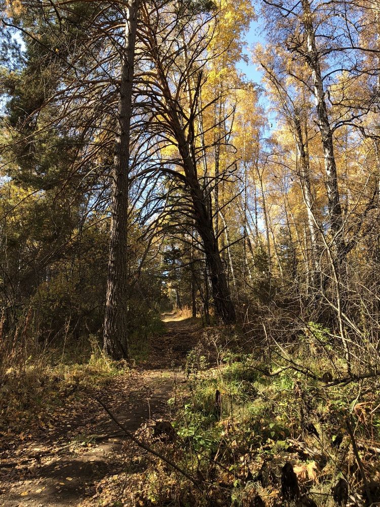 Фотография автора Светлана Гончарова