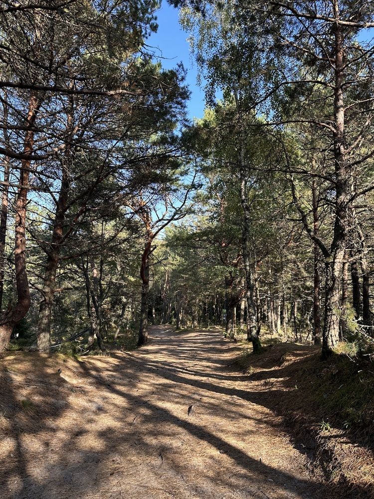 Photograph by Svetlana Tolkunova