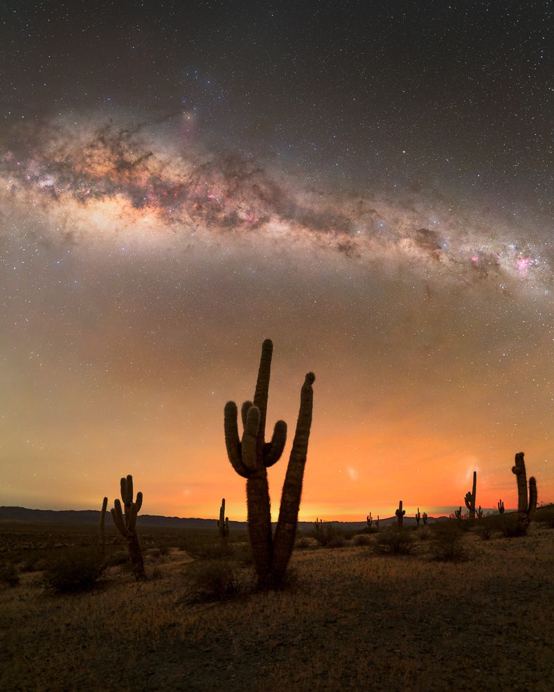 Photograph by Mauricio Salazar