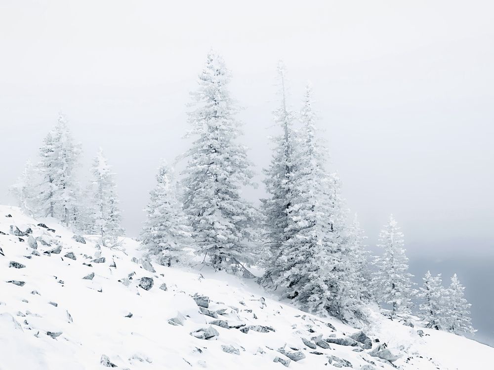 Фотография автора Дарья Кузнецова