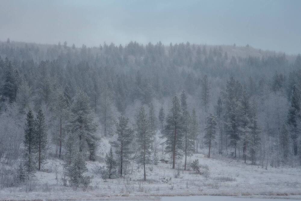 Photograph by Марина Зборацкая