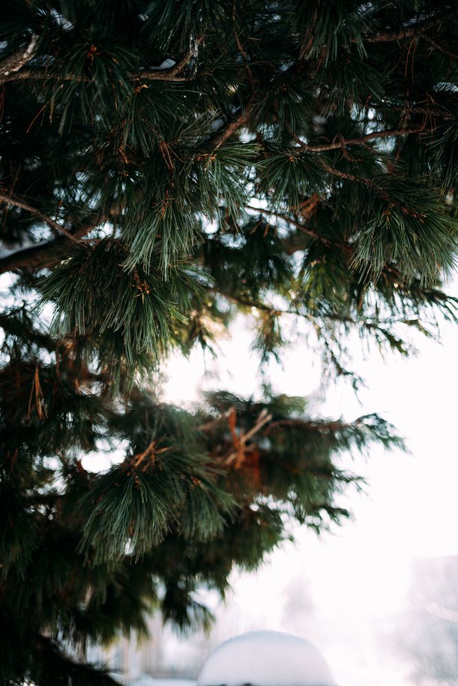 Photograph by Viktoriia Shin