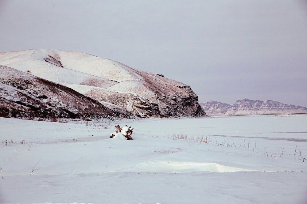 Photograph by Оксана Ланских