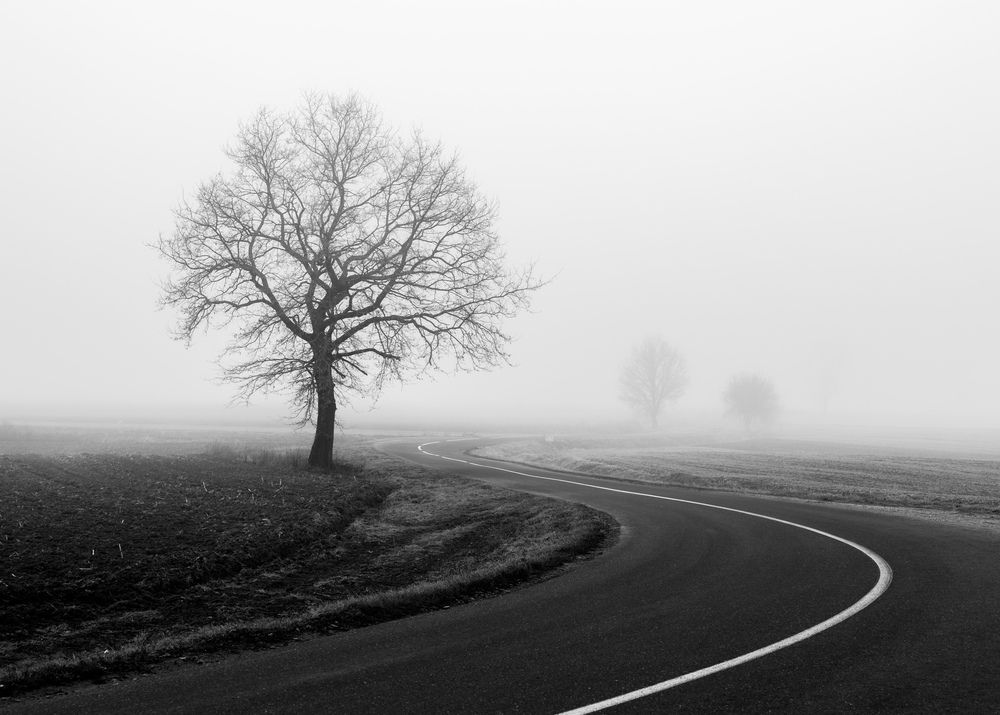 Photograph by Banciu Christine