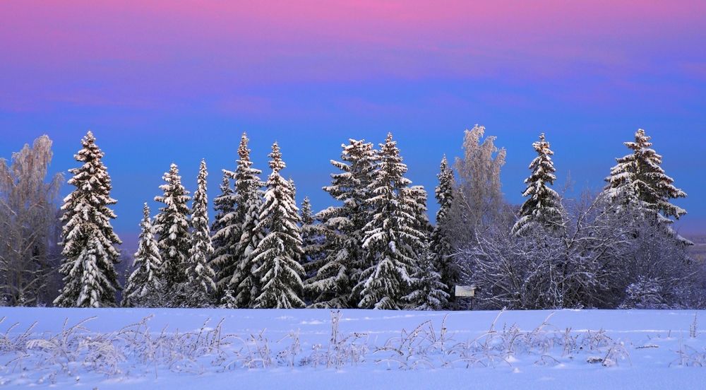 Photograph by PERESHEIN ANDREY