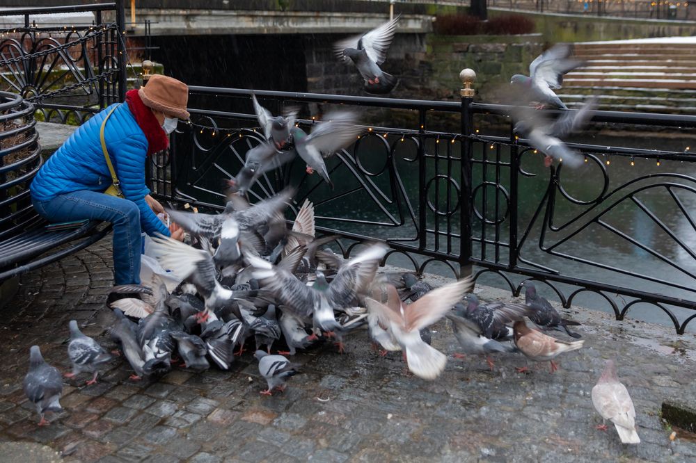 Photograph by Евгения Чех