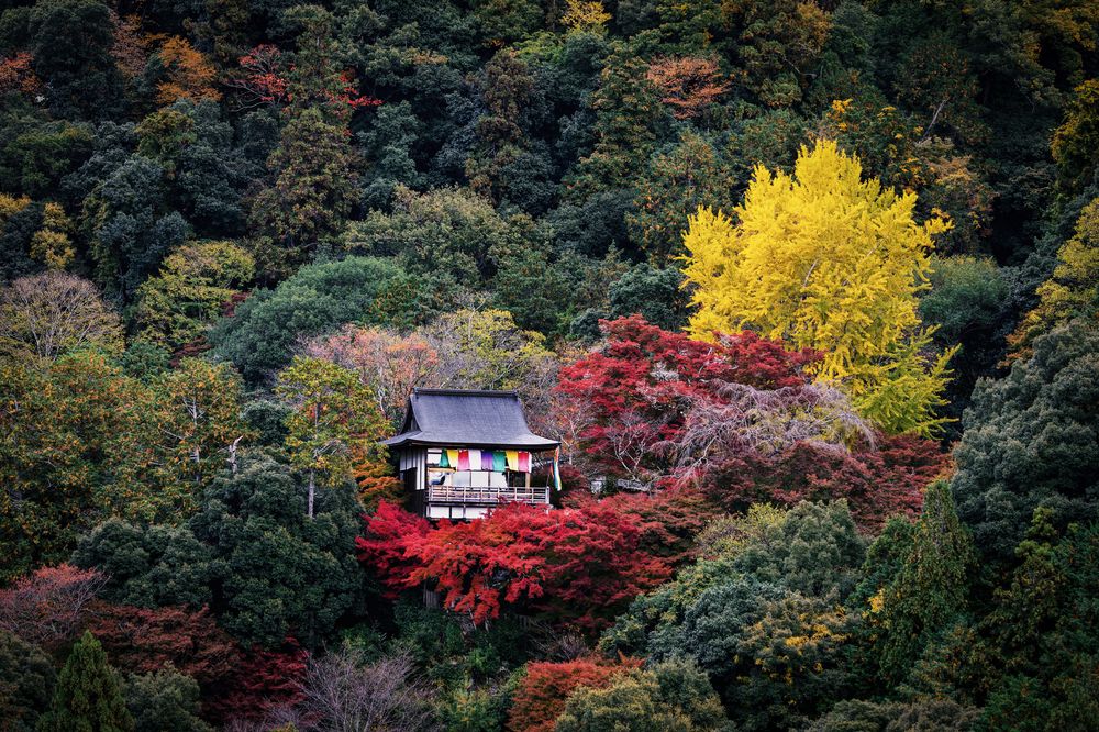Photograph by Владимир Луценко
