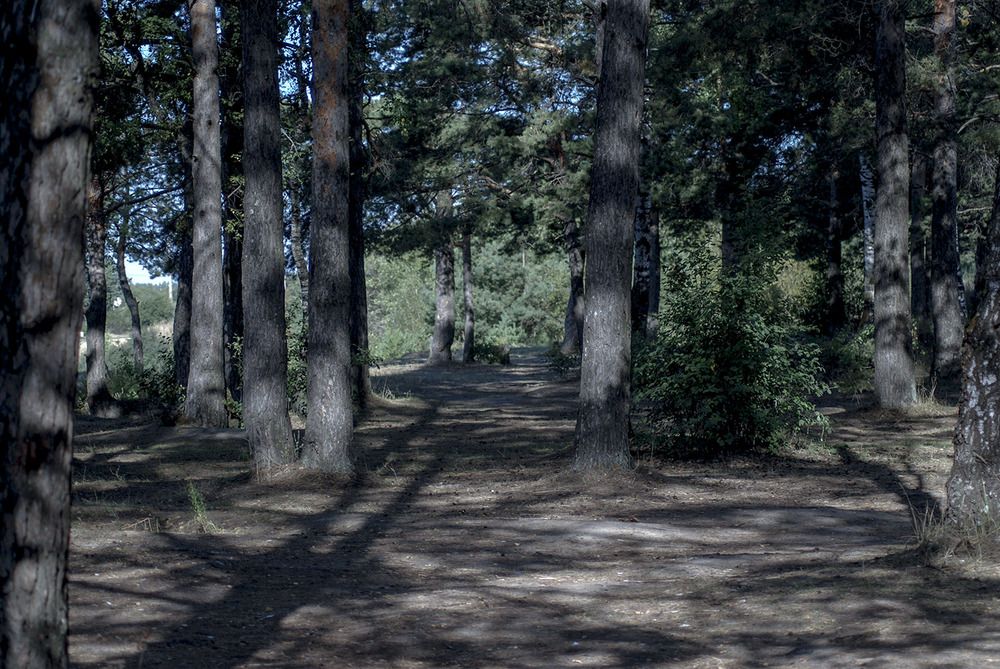 Photograph by Людмила Павловна