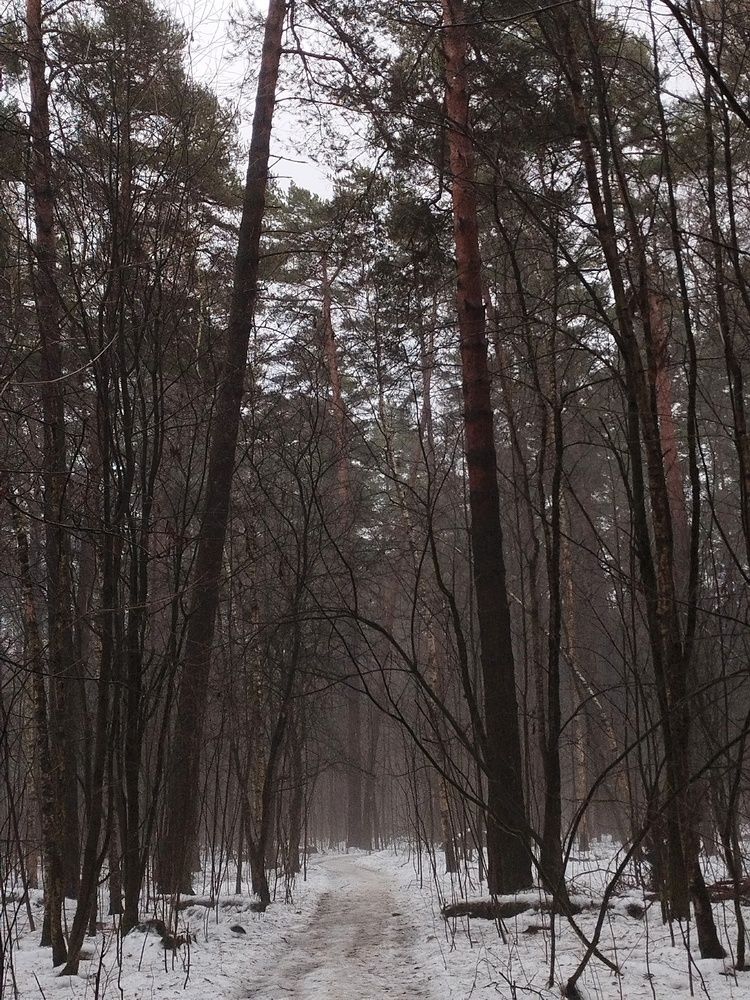 Оттепель