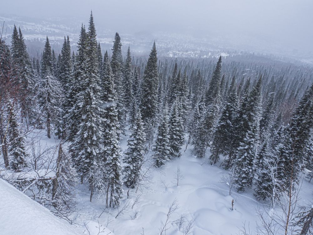 Photograph by Надежда Михайлина