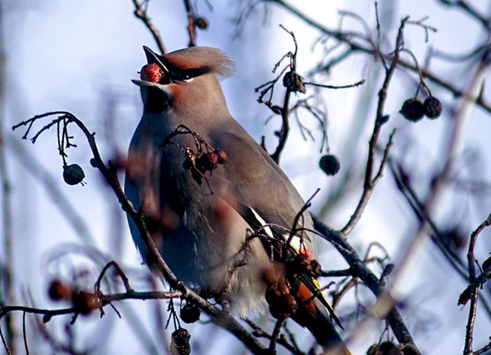 Photograph by Людмила Павловна