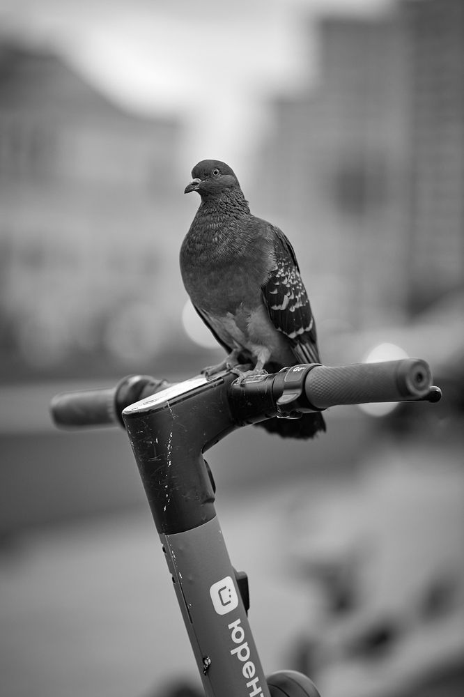 Photograph by Mikhail Khmelevskiy