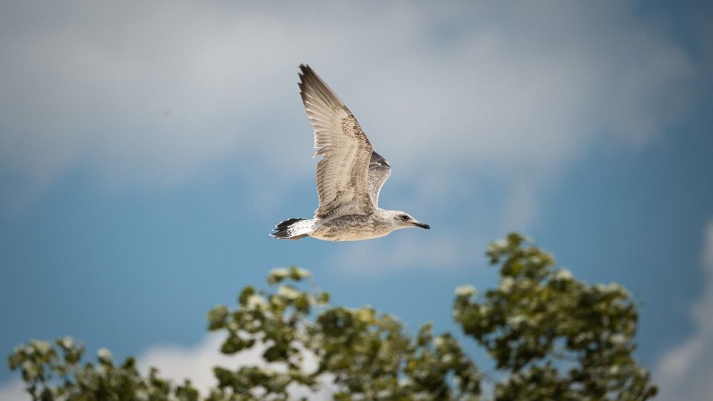 Photograph by Тимур Разиков