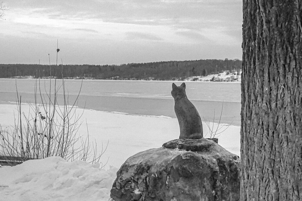 Photograph by Алфия Бугакова