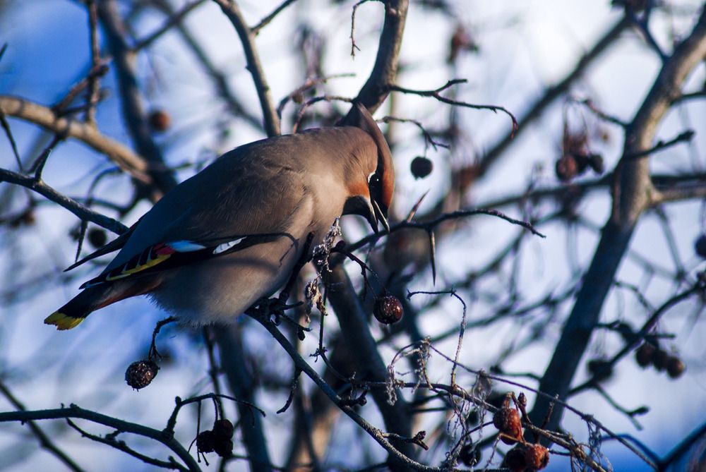 Photograph by Людмила Павловна