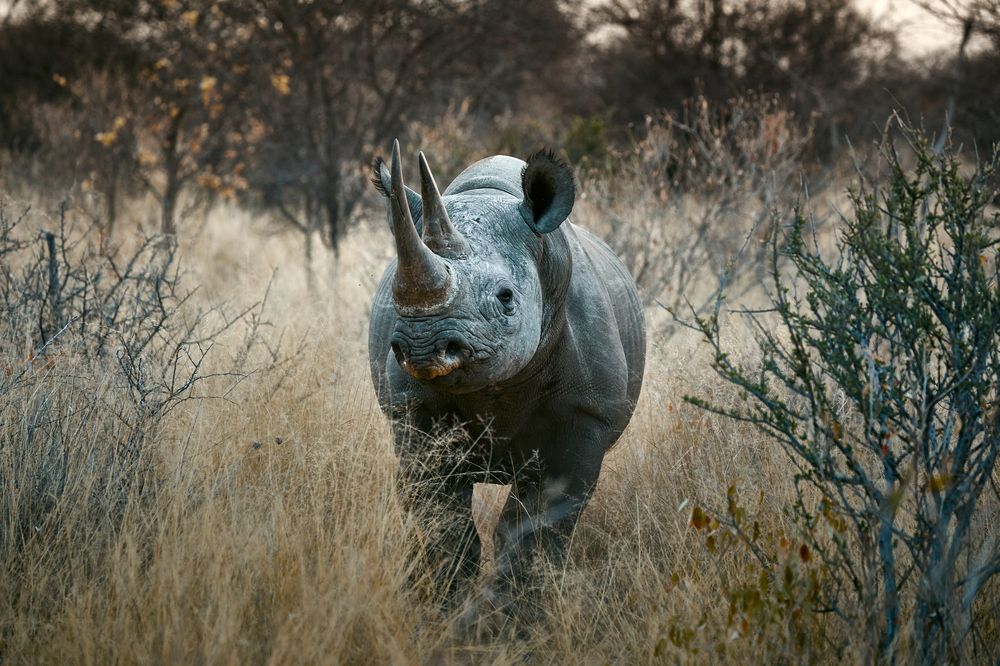 Photograph by Владимир Луценко