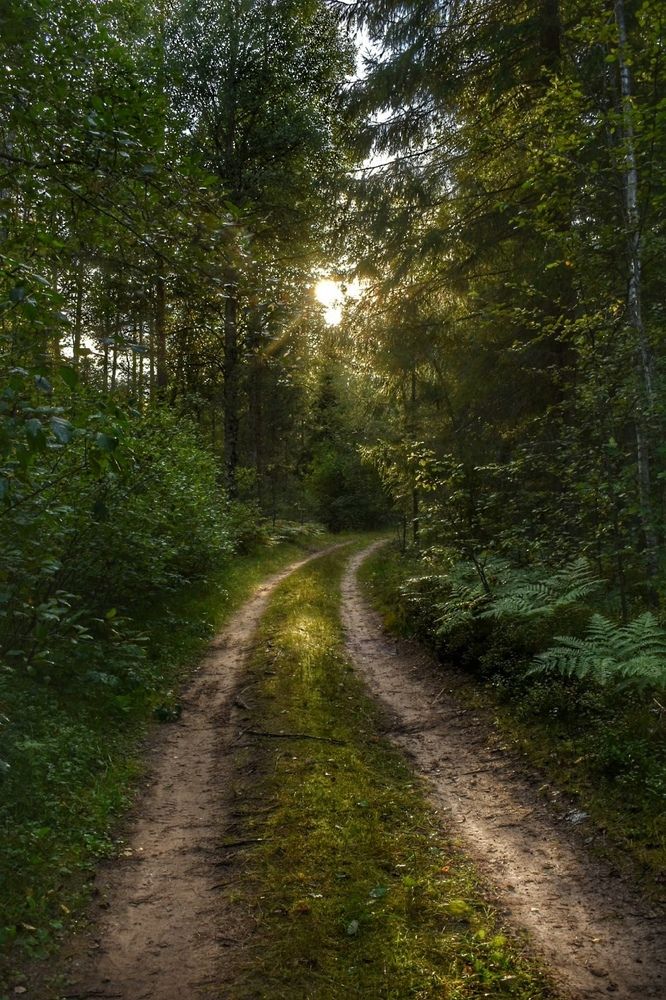 Photograph by Татьяна Абабкова