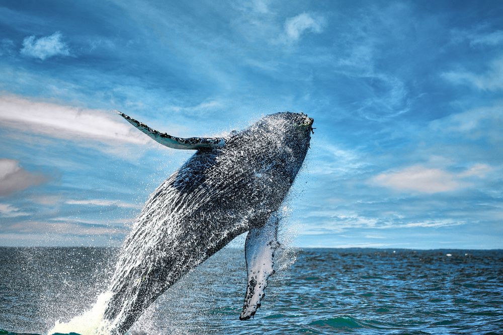 Photograph by Владимир Луценко