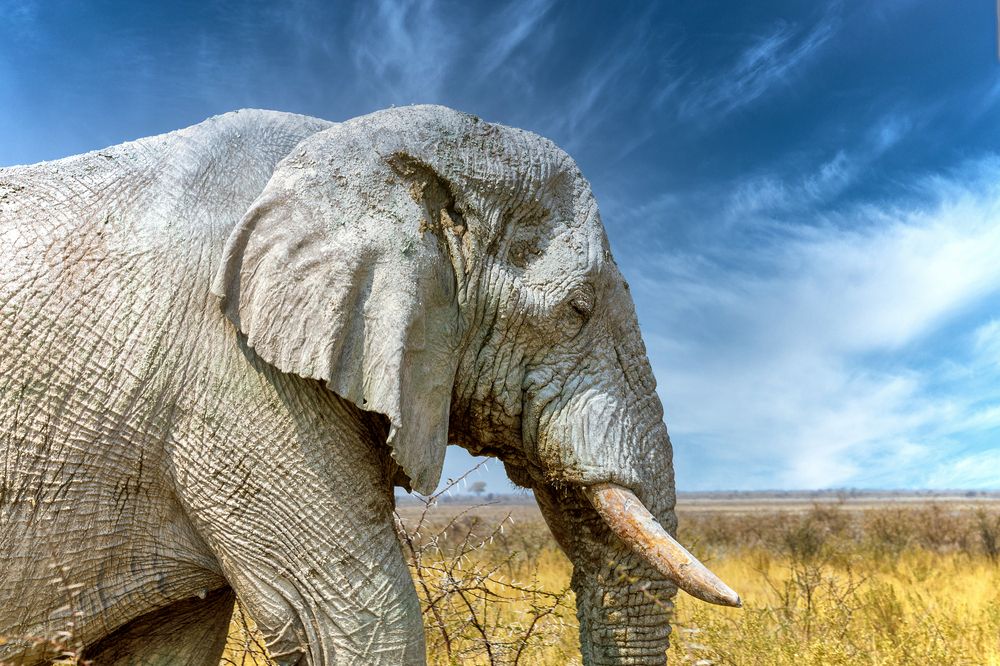 Photograph by Владимир Луценко