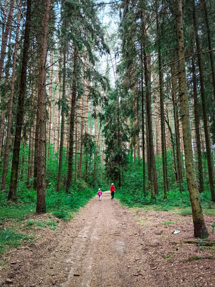 Photograph by Наташа Черепенина