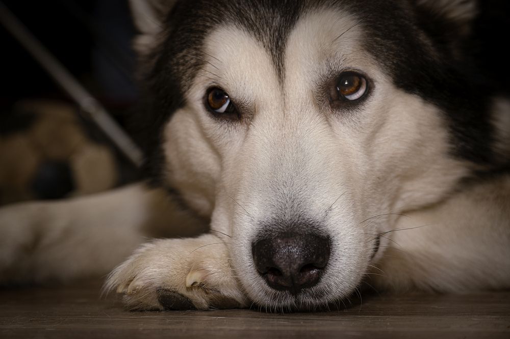 Photograph by Лев Постнов