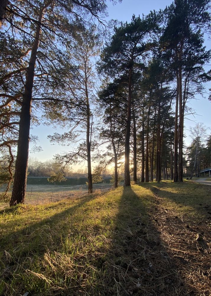 Photograph by Алиса Лукина