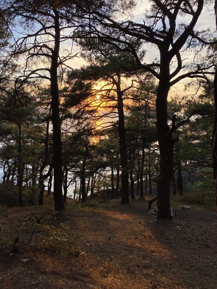 Photograph by Алиса Лукина